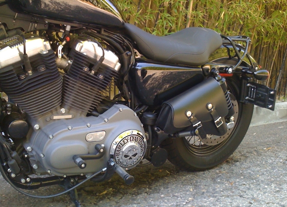 sportster swingarm bag with passenger pegs